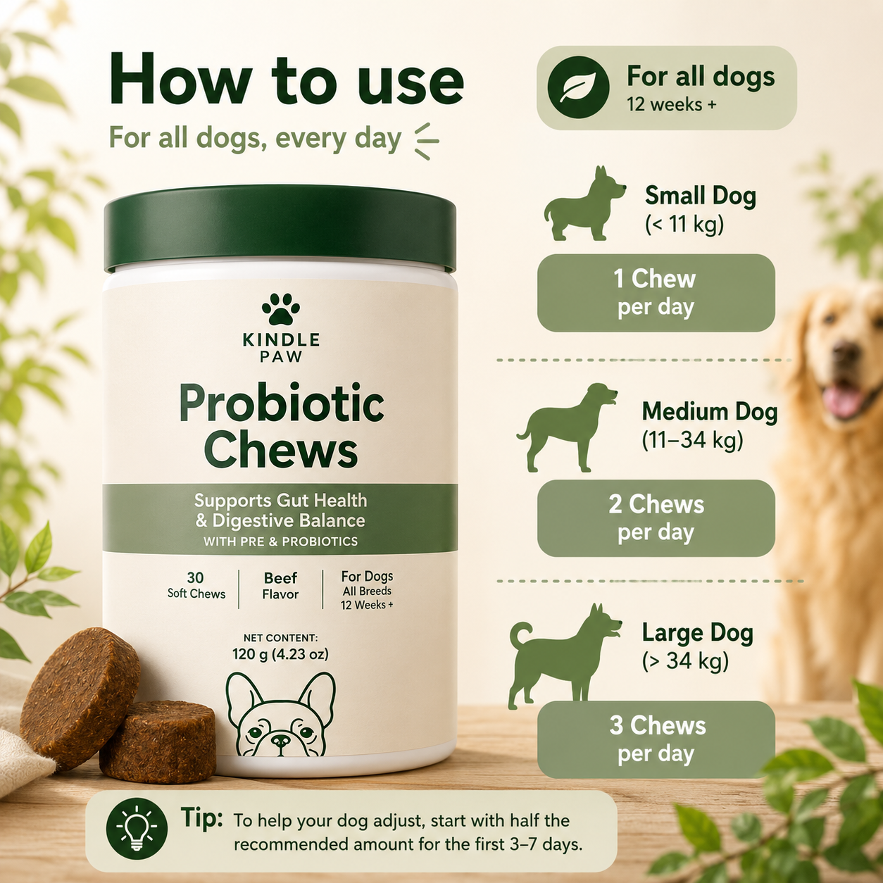Probiotic Chews 🐾 Healthy Digestion for Dogs