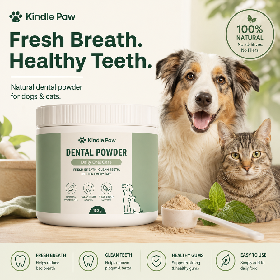 Dental Powder 🐾 Fresh Breath & Clean Teeth