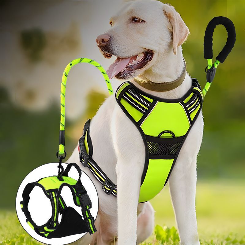 <font dir="auto" style="vertical-align: inherit;"><font dir="auto" style="vertical-align: inherit;">Exclusief grensoverschrijdend nylon hondentuigje/lijn voor grote honden, reflecterend, explosiebestendig en schokbestendig.</font></font>